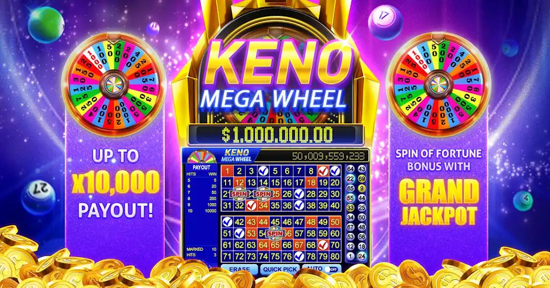 779bet betf cassino on-line